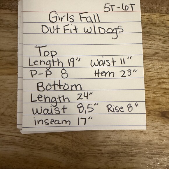 Girls Fall Outfit 5T-6T | Dog Pumpkin Top & Gingham Leggings Set - Picture 10 of 10